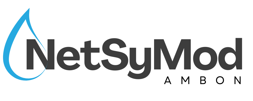 NetSyMod